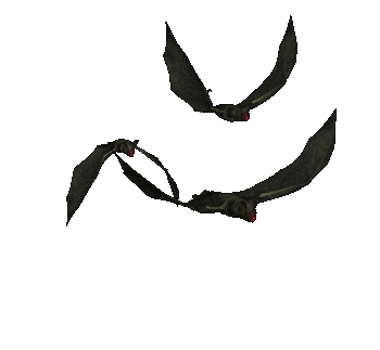 chauve-souris gif